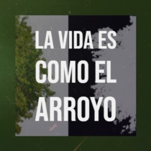 Listen to Fiesta En El Cielo song with lyrics from Niño Rivera