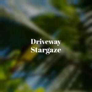 收听Lucson Kupa的Birthday歌词歌曲