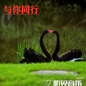 收听董诗云的与你同行歌词歌曲