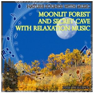 Jamie Llewellyn的專輯Nature Sounds with Music: Moonlit Forest and Secret Cave with Relaxation Music