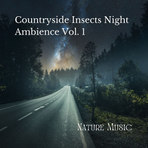 Nature Music: Countryside Insects Night Ambience Vol. 1