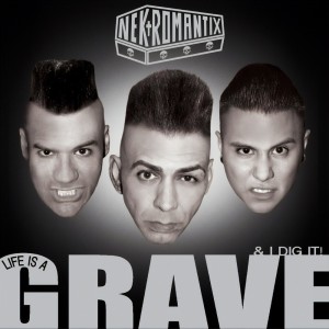 ดาวน์โหลดและฟังเพลง Rot In Hell (Explicit) พร้อมเนื้อเพลงจาก Nekromantix