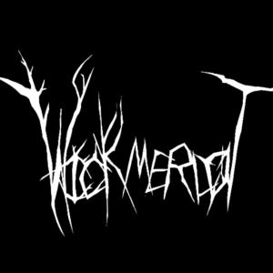 Album Blame Games (Explicit) from Wick Merlot
