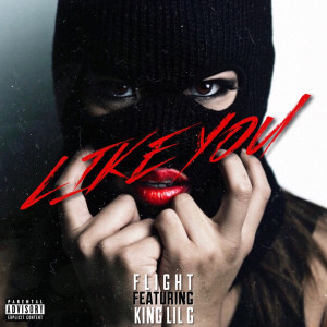 Like You (feat. King Lil G) (Explicit)