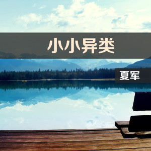 夏军的专辑小小异类