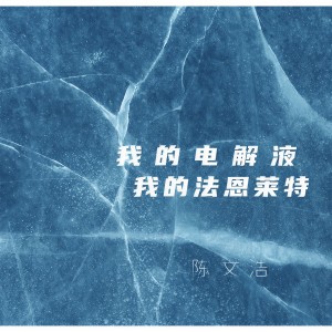 Album 我的电解液 我的法恩莱特 from 陈文浩