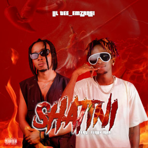 收聽LilTee_emzansi的Shatini (Explicit)歌詞歌曲