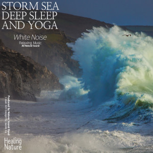 收听힐링 네이쳐 Nature Sound Band的Sea Waves Sound for Sleeping(Team Malibu)歌词歌曲