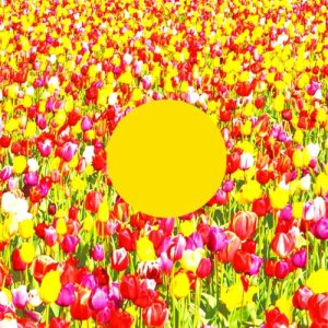 ดาวน์โหลดและฟังเพลง Spring Song (Jeremy Ebell Remix) พร้อมเนื้อเพลงจาก Arling
