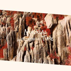 Album Musical Wonderful Time from 