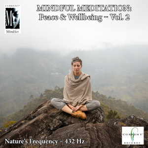 收聽Current的Mindful Meditations - Peace and Wellbeing, Vol. 2歌詞歌曲