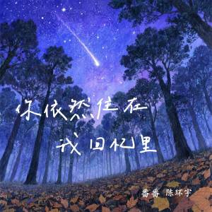Listen to 你依然住在我回忆里 (合唱版伴奏) song with lyrics from 番番