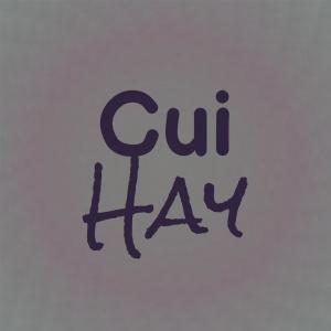 อัลบัม Cui Hay ศิลปิน Various