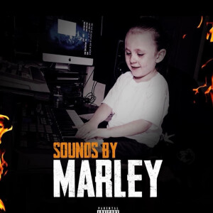 收聽Sounds By Marley的Flex Hard (Explicit)歌詞歌曲