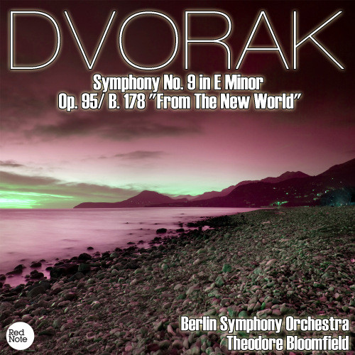 Symphony No.9 in E Minor, Op.95 / B. 178: II. Largo