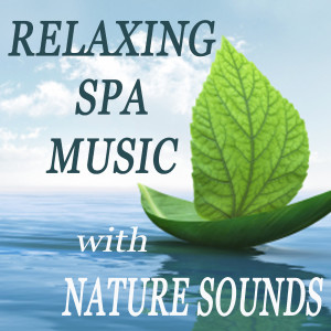 收听Nature Sounds Piano的Deep Sea Diver歌词歌曲