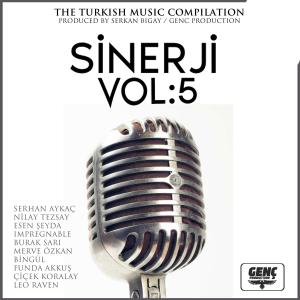 Listen to Her Aşkın Sonu song with lyrics from Burak Sarı