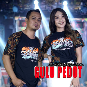 Dengarkan lagu Gulu Pendot nyanyian Fendik Adella dengan lirik