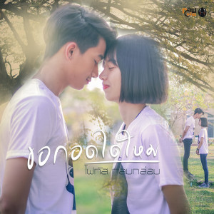 ดาวน์โหลดและฟังเพลง ขอกอดได้ไหม พร้อมเนื้อเพลงจาก โฟกัส กลมกล่อม