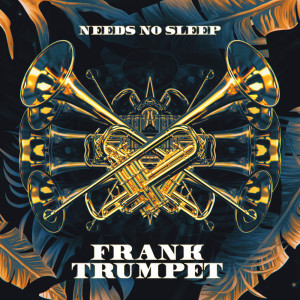 Listen to Frank Trumpet song with lyrics from Needs No Sleep