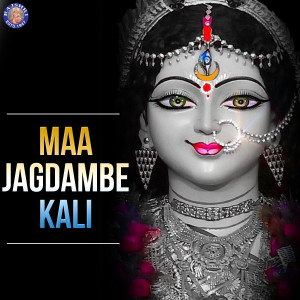 收听Vighnesh Ghanapaathi的Durga Suktam歌词歌曲