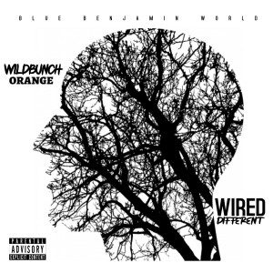 Listen to Wired Different (Explicit) song with lyrics from Wildbunch Orange