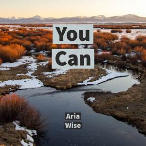 收聽Aria Wise的Come Through歌詞歌曲