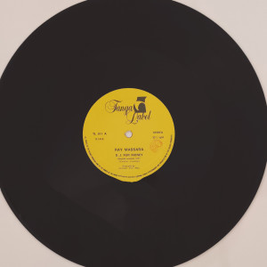 Listen to DJ For Money (Italian Version) song with lyrics from Ray Massara