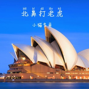 Album 北鼻打老虎 from 小猫多鱼