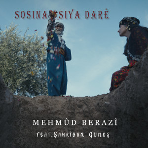 Album Sosina Siya Darê from Mehmûd Berazî