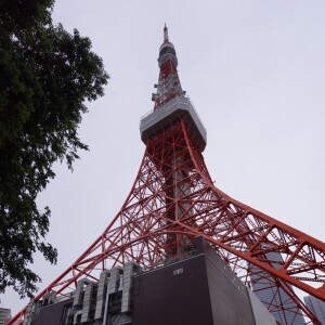 Listen to recordplayer (feat. 花響 琴) song with lyrics from 電気椅子