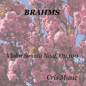 Georg Solti的專輯Brahms: Violin Sonata No.2, Op.100