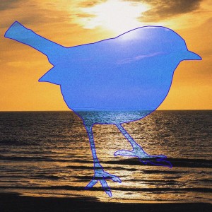 Dengarkan Bird at the Seaside lagu dari DJ Okay dengan lirik