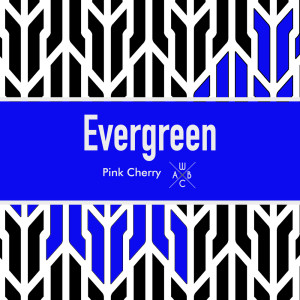 Listen to Evergreen (138 Bpm) song with lyrics from Pink Cherry