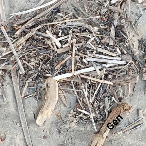 ดาวน์โหลดและฟังเพลง Mix House พร้อมเนื้อเพลงจาก Gen