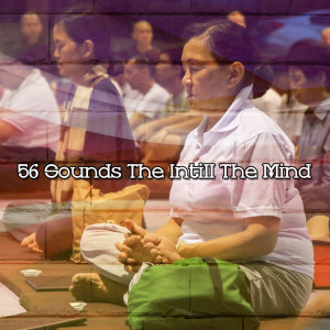 Relaxing Mindfulness Meditation Relaxation Maestro的專輯56 Sounds The Intill The Mind