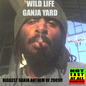 Album Ganja Yard from Wild Life