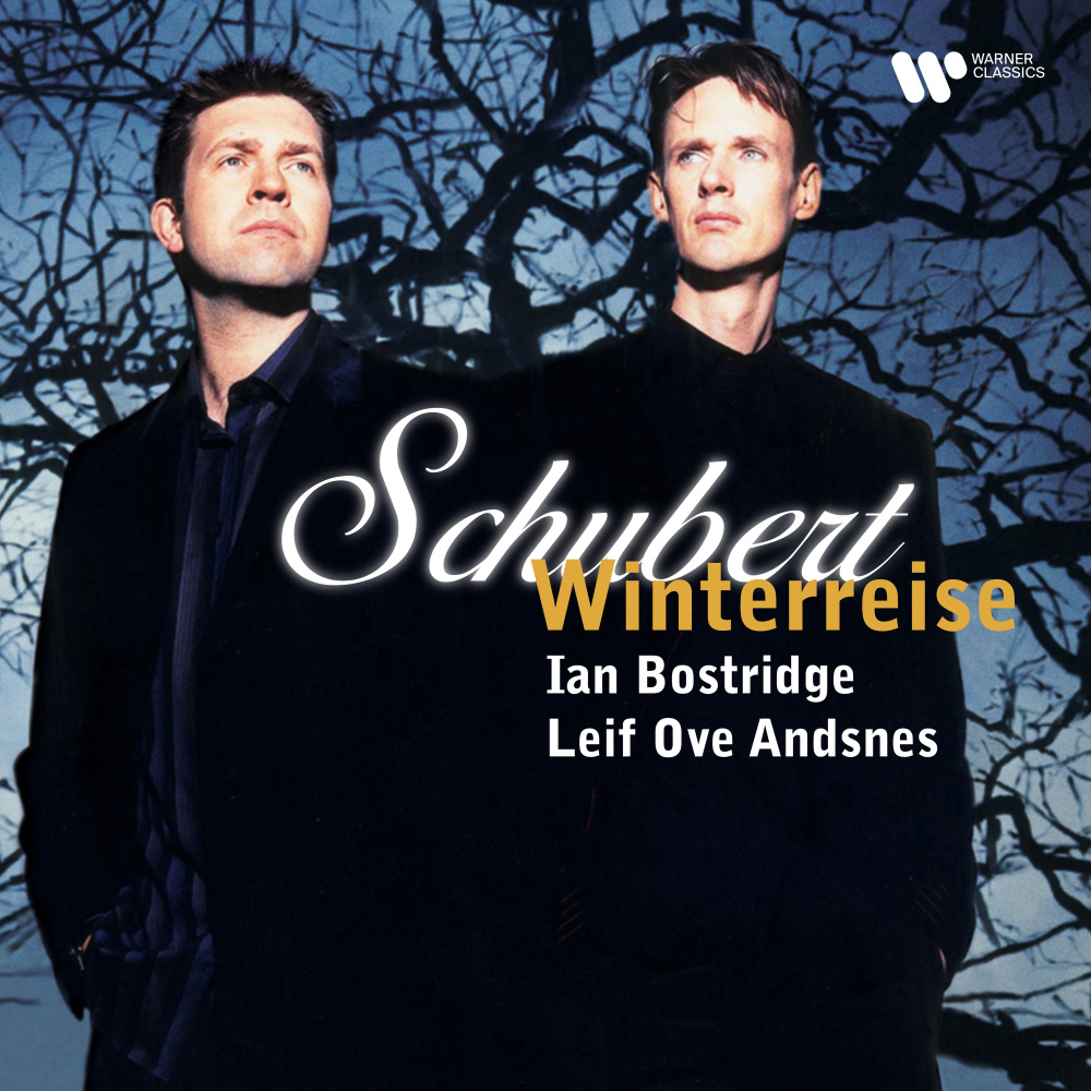 Winterreise, D. 911: No. 5 Der Lindenbaum