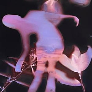 收聽switdabeam's archive的popping (feat. giela & switdabeam) (Explicit)歌詞歌曲