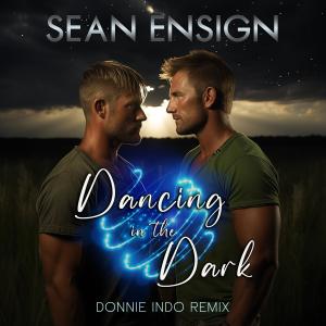 ดาวน์โหลดและฟังเพลง Dancing in the Dark (Donnie Indo Remix) พร้อมเนื้อเพลงจาก Sean Ensign