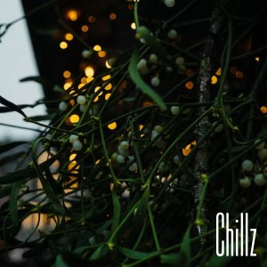 Album Delta-Wave mistletoe oleh Chillz