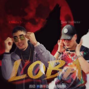 收聽el santurio的loba (feat. alesda music & jose burbano)歌詞歌曲