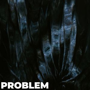Album Problem (Explicit) oleh Singular
