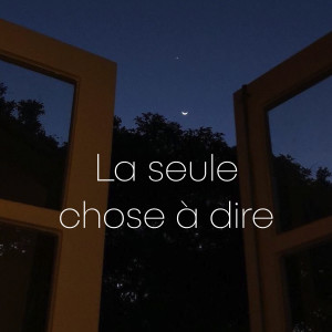 收聽DYD的La seule chose à dire歌詞歌曲