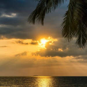 收聽Magical Minstrels的Zen Mind, Clear Thoughts歌詞歌曲