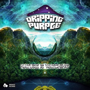 Listen to Bhanga song with lyrics from Dripping Purple