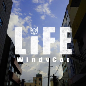 收聽윈디캣的Life歌詞歌曲