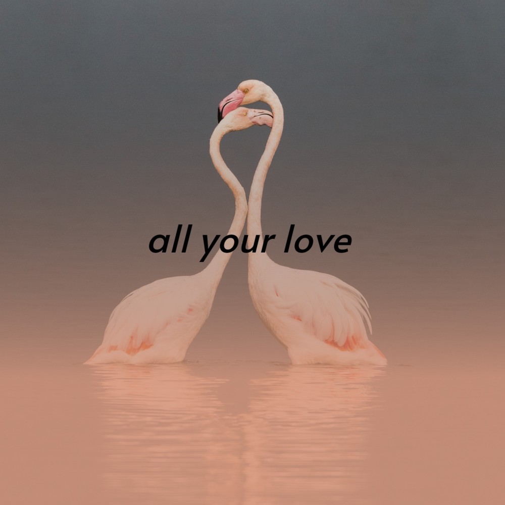 All Your Love