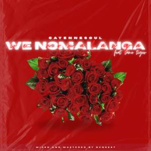 Cayennesoul的專輯We Nomalanga