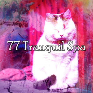 Dengarkan Goodnight World lagu dari Relaxing With Sounds of Nature and Spa Music Natural White Noise Sound Therapy dengan lirik